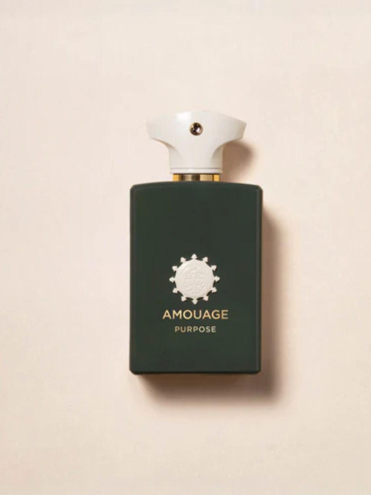  PURPOSE EDP 100ML Ambrosio La Corte