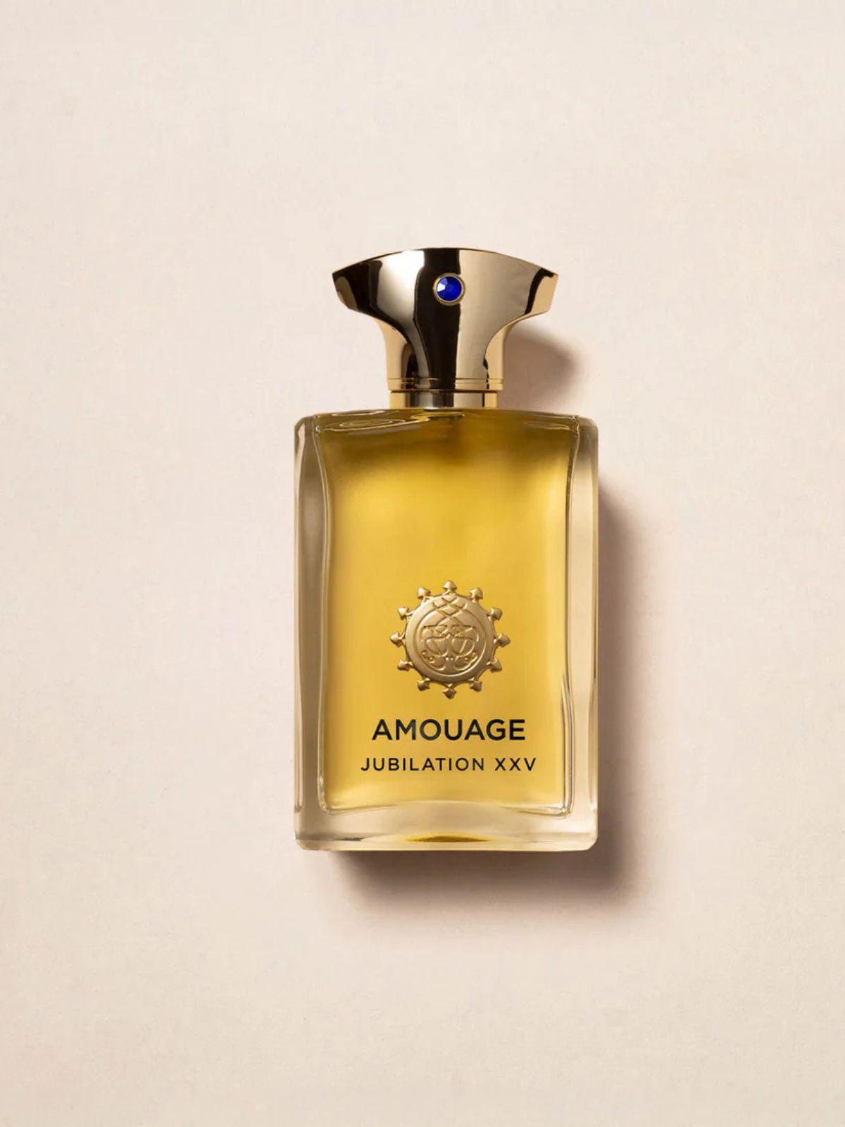 JUBILATION XXV MAN EDP 100ML