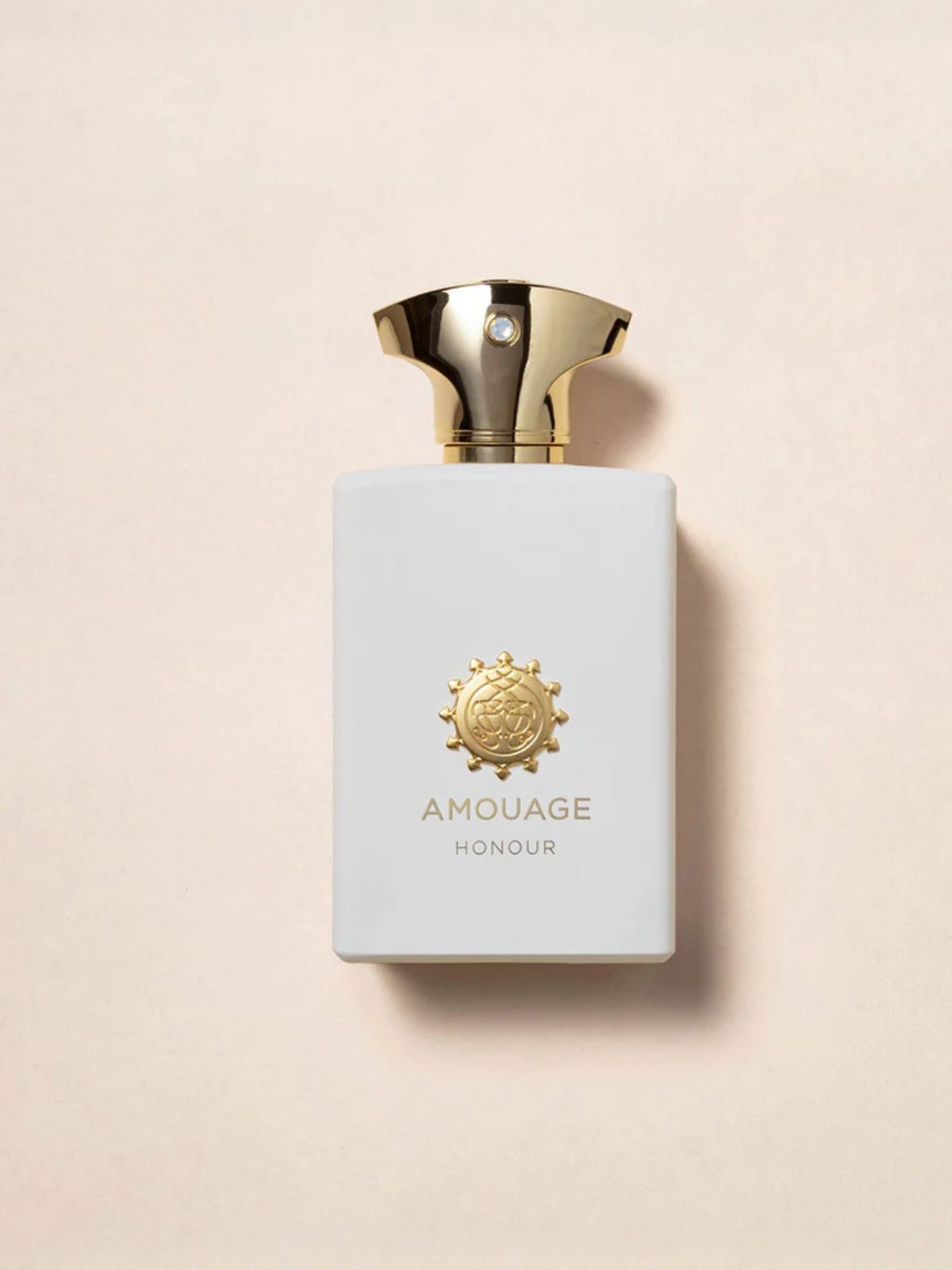  HONOUR MAN EDP 100ML Ambrosio La Corte