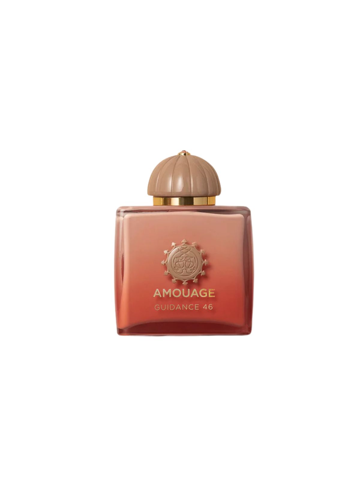  GUIDANCE 46 EXT 100ML Ambrosio La Corte